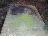 image of grave number 616783